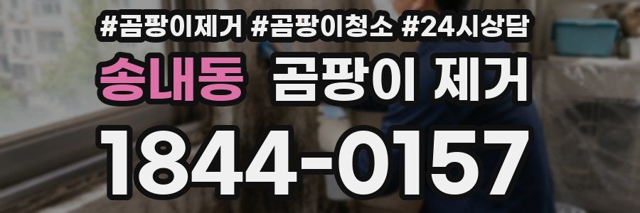 송내동 곰팡이 제거