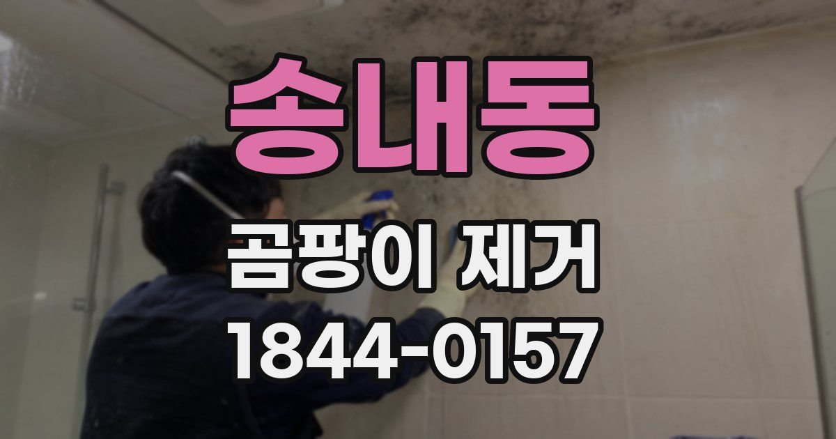 송내동 곰팡이 제거