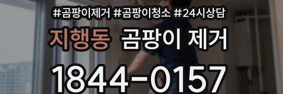 지행동 곰팡이 제거