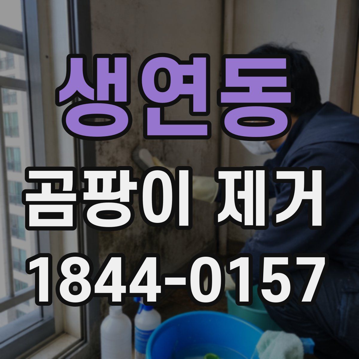 생연동 곰팡이 제거