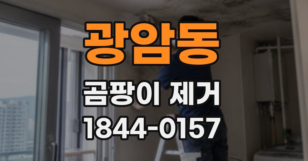 광암동 곰팡이 제거