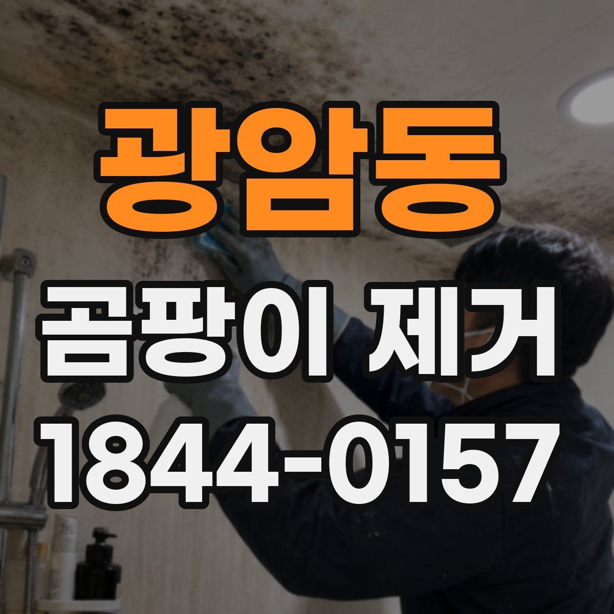 광암동 곰팡이 제거