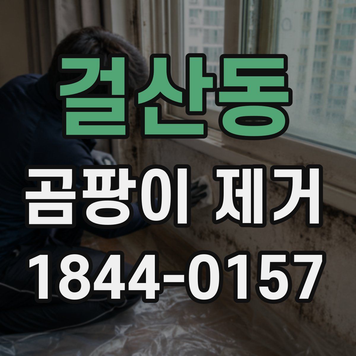 걸산동 곰팡이 제거