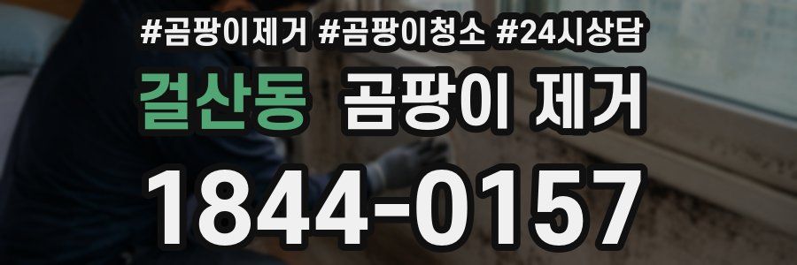 걸산동 곰팡이 제거