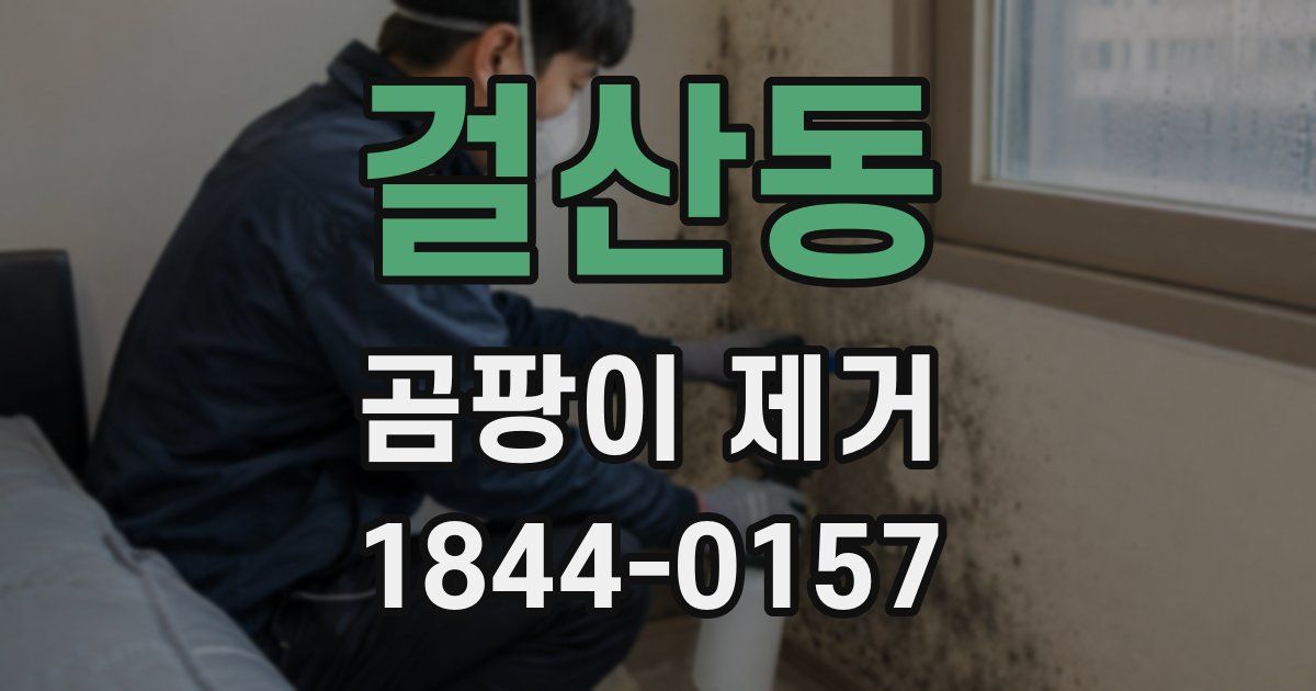 걸산동 곰팡이 제거