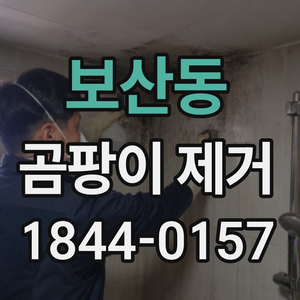 보산동 곰팡이 제거