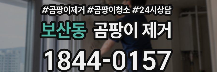 보산동 곰팡이 제거