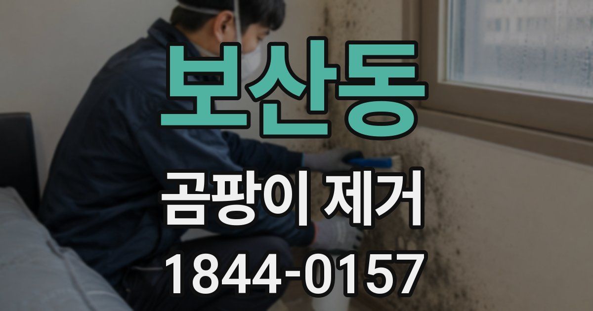 보산동 곰팡이 제거