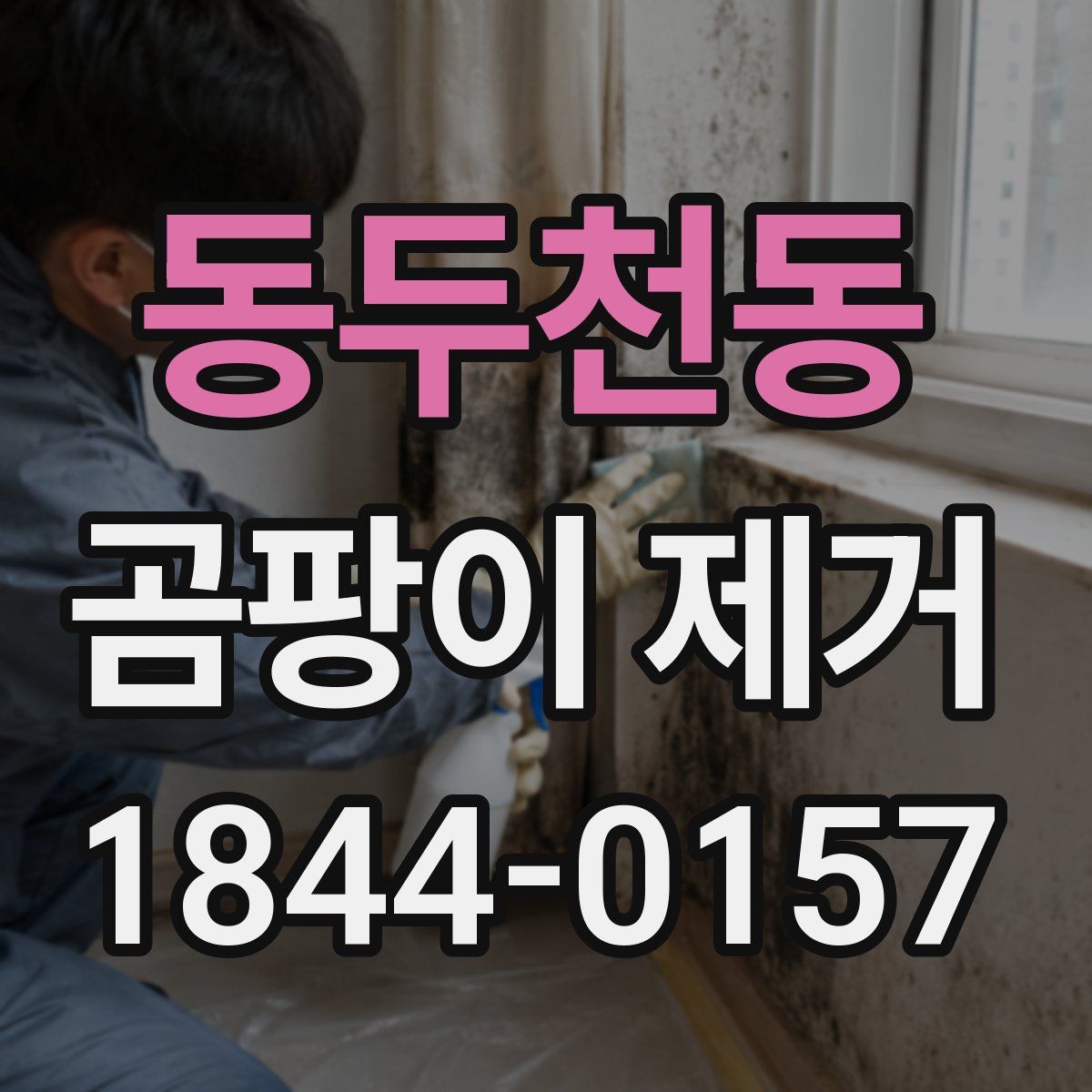 동두천동 곰팡이 제거