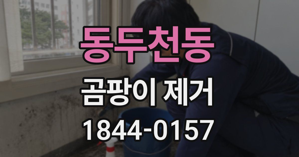 동두천동 곰팡이 제거