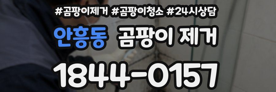 안흥동 곰팡이 제거