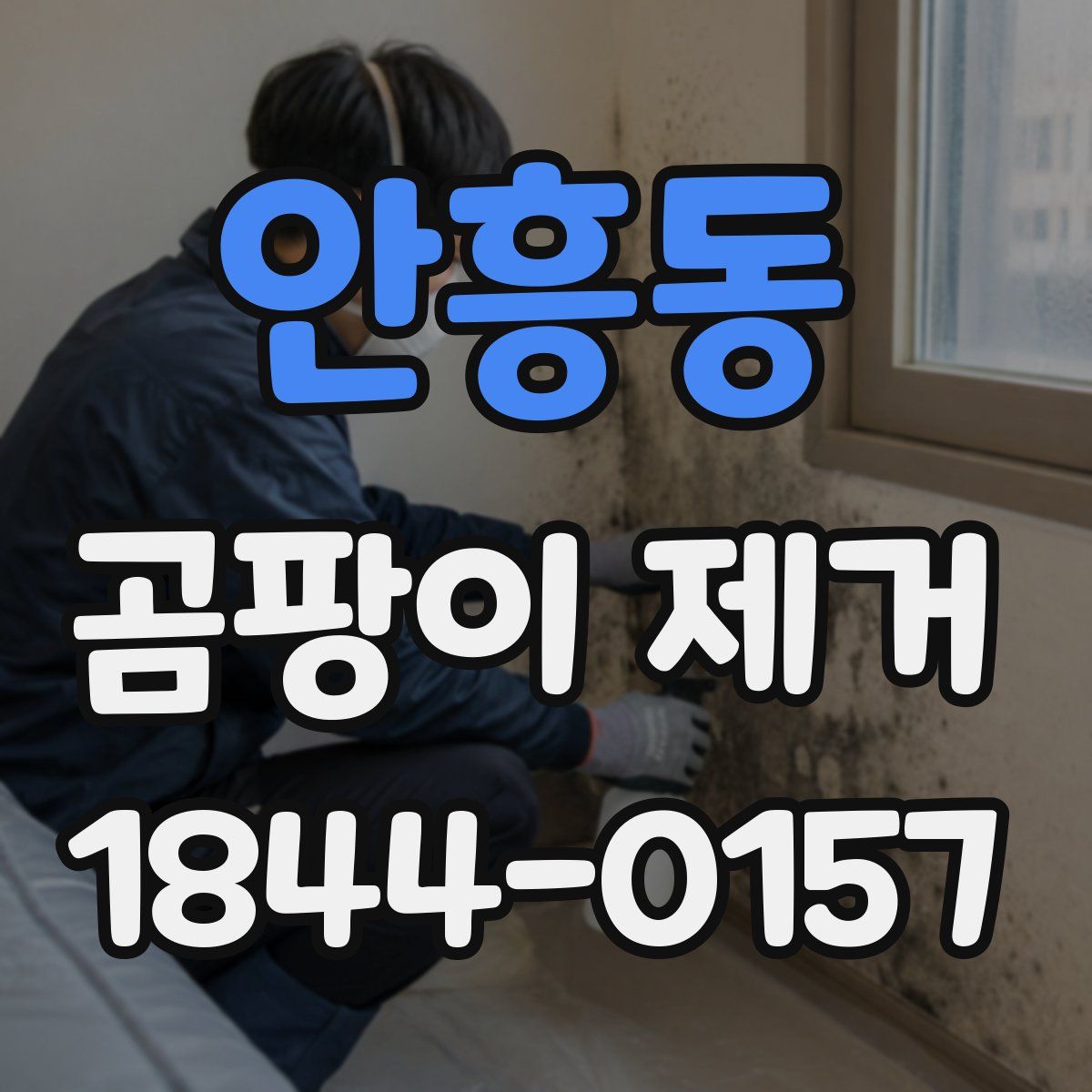 안흥동 곰팡이 제거