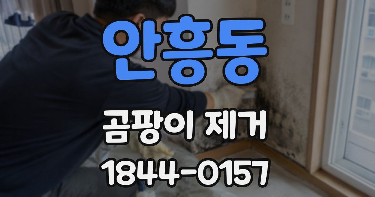 안흥동 곰팡이 제거
