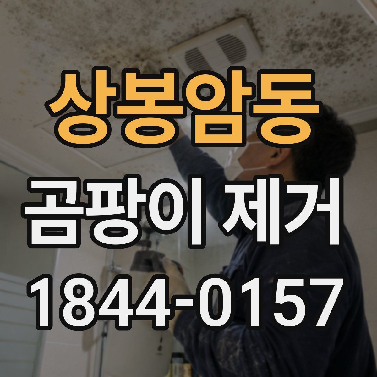 상봉암동 곰팡이 제거 창틀·실리콘 부분에서 시작하는 원인 확인