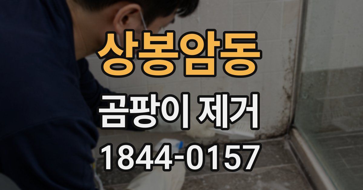 상봉암동 곰팡이 제거