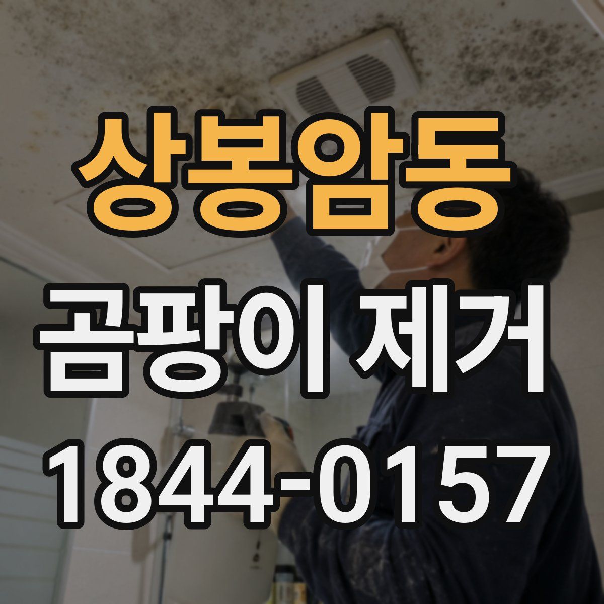 상봉암동 곰팡이 제거