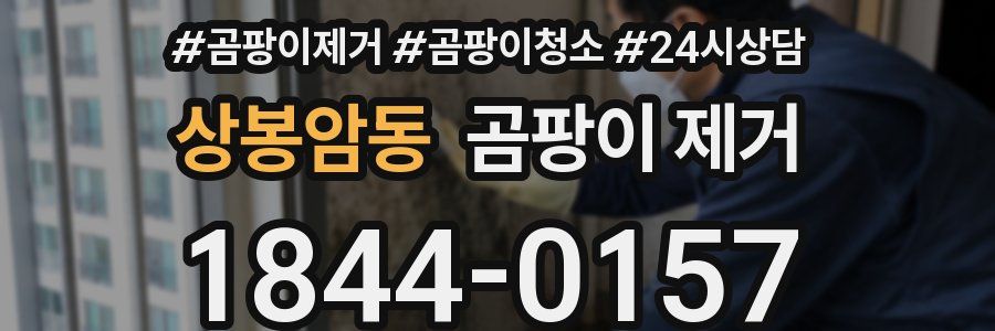 상봉암동 곰팡이 제거