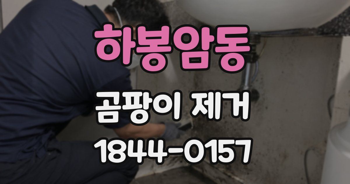하봉암동 곰팡이 제거