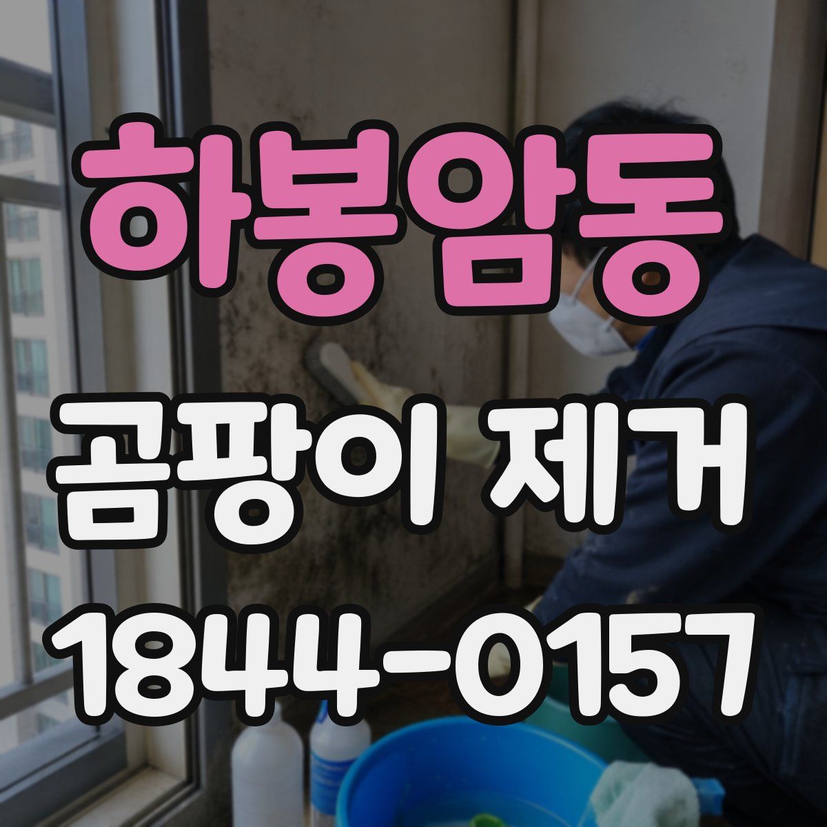 하봉암동 곰팡이 제거