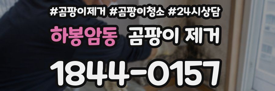 하봉암동 곰팡이 제거