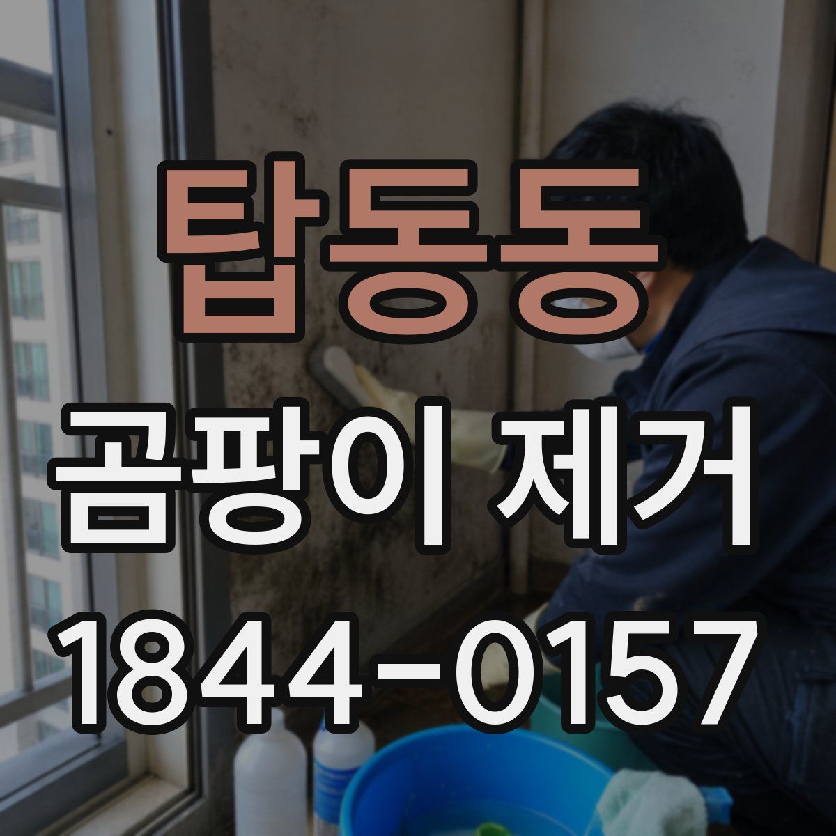 탑동동 곰팡이 제거