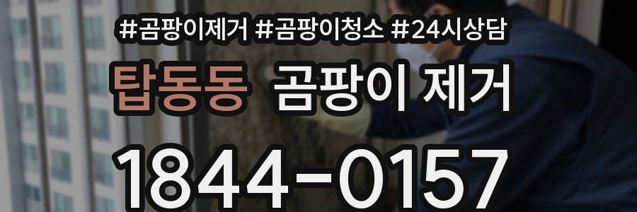 탑동동 곰팡이 제거
