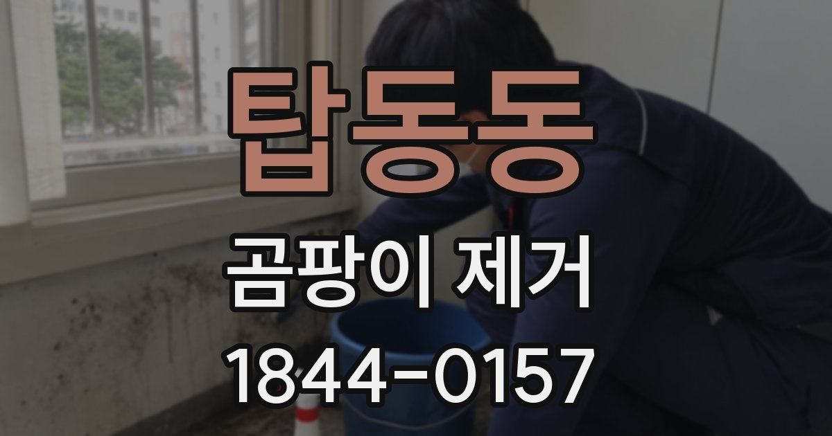 탑동동 곰팡이 제거