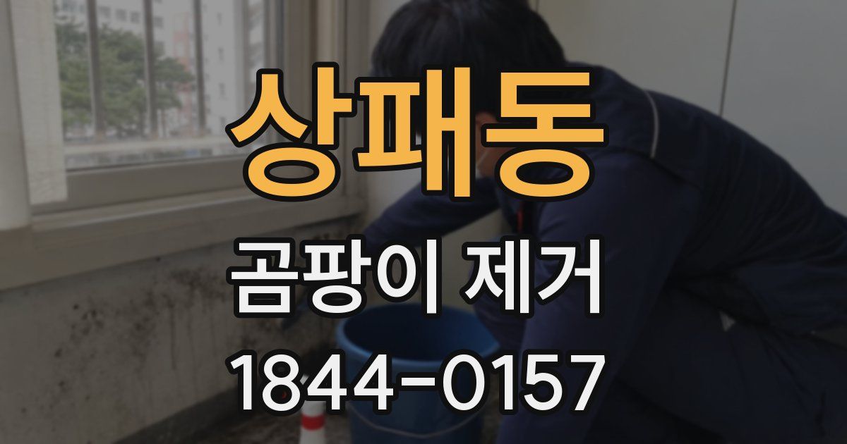 상패동 곰팡이 제거