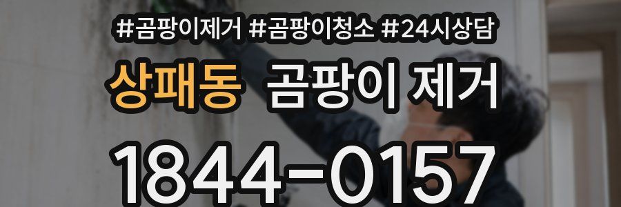 상패동 곰팡이 제거