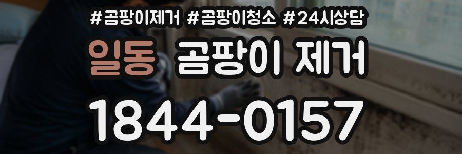 일동 곰팡이 제거