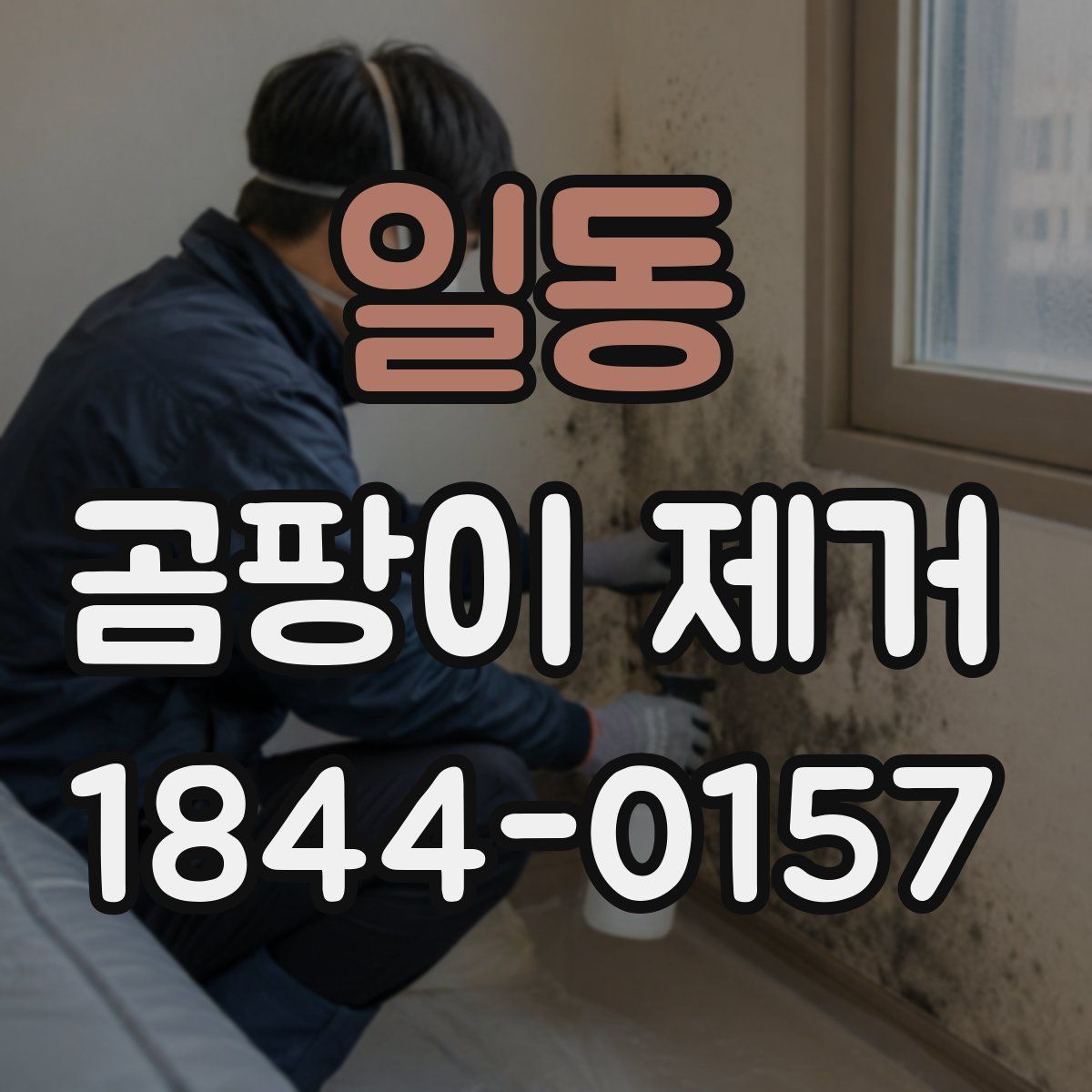 일동 곰팡이 제거