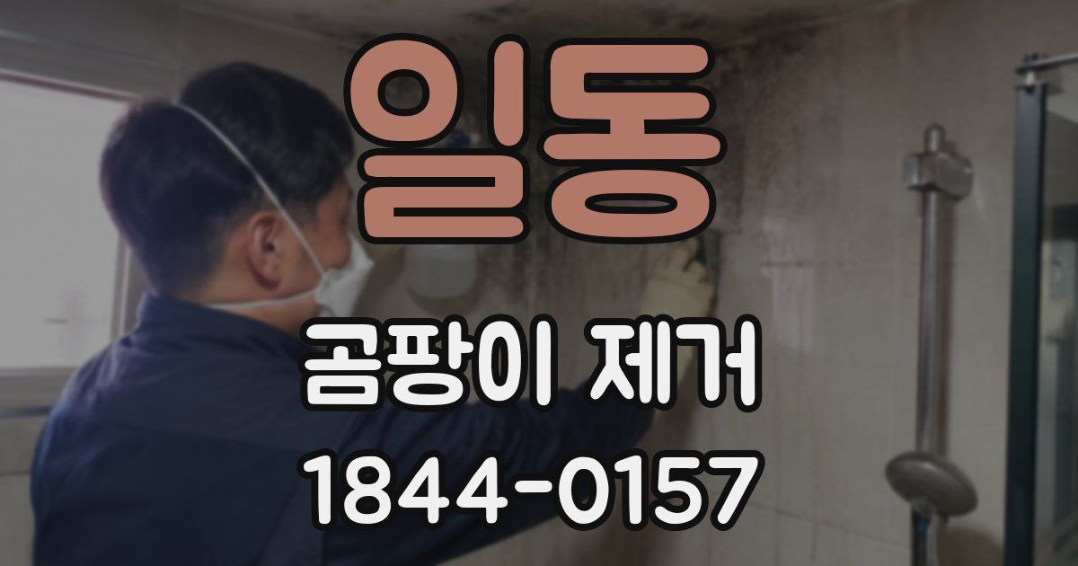 일동 곰팡이 제거