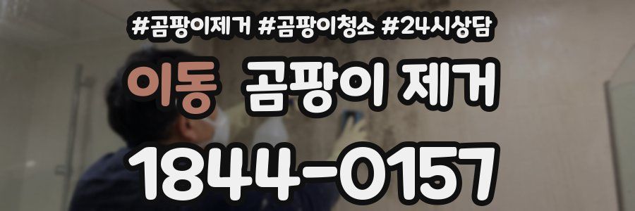 이동 곰팡이 제거