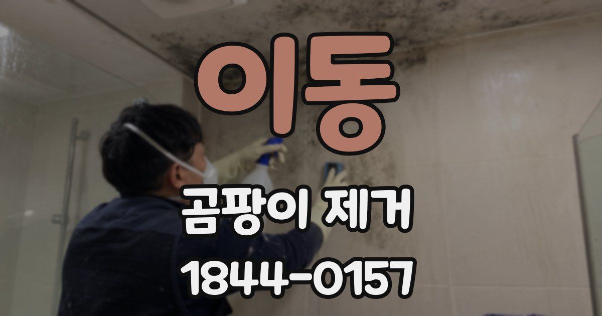 이동 곰팡이 제거
