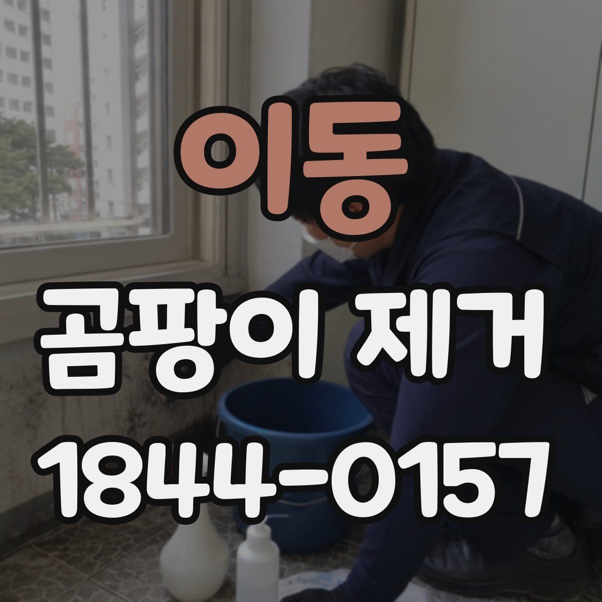 이동 곰팡이 제거