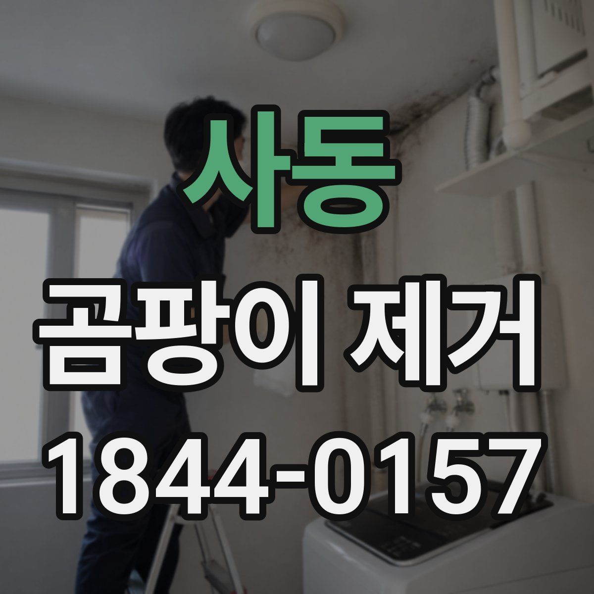 사동 곰팡이 제거