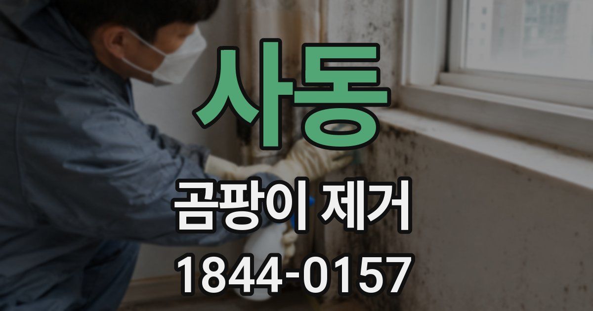 사동 곰팡이 제거
