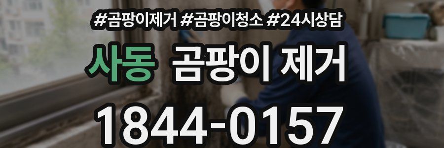 사동 곰팡이 제거
