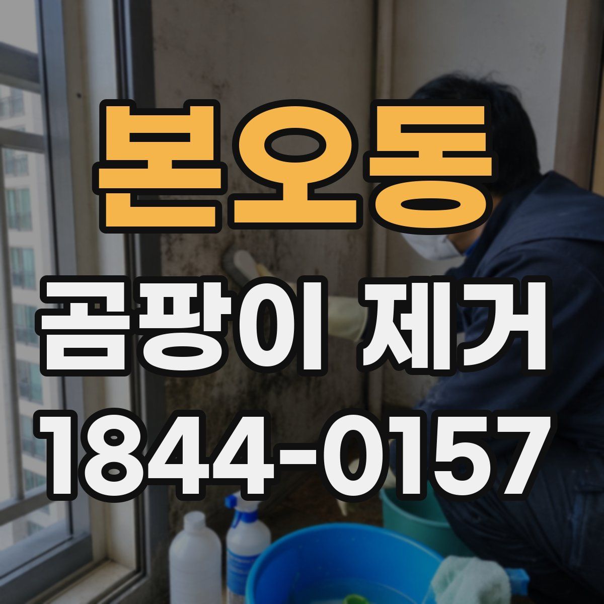 본오동 곰팡이 제거