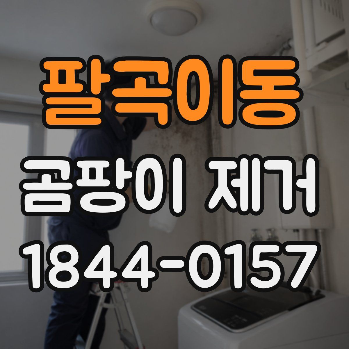 팔곡이동 곰팡이 제거