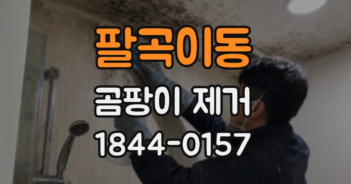 팔곡이동 곰팡이 제거