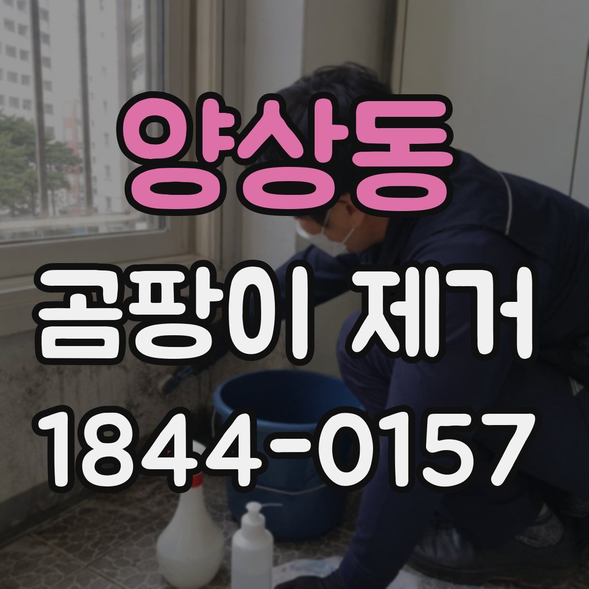 양상동 곰팡이 제거