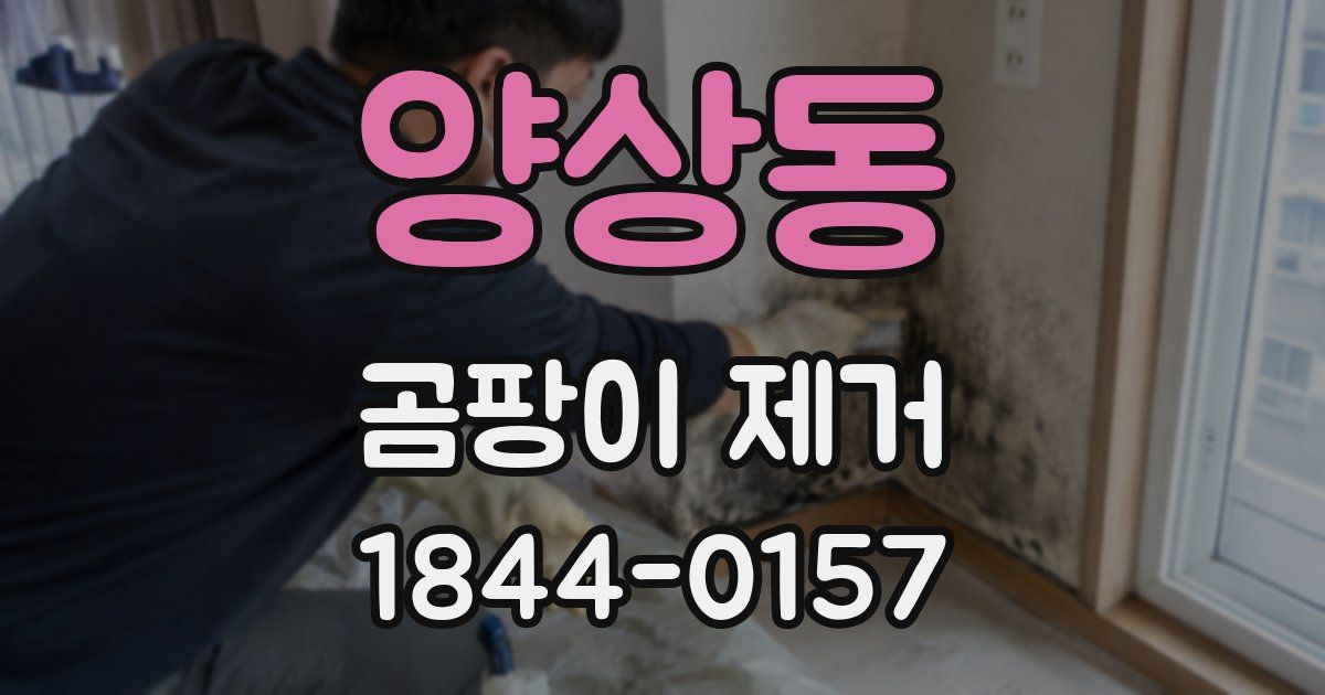 양상동 곰팡이 제거