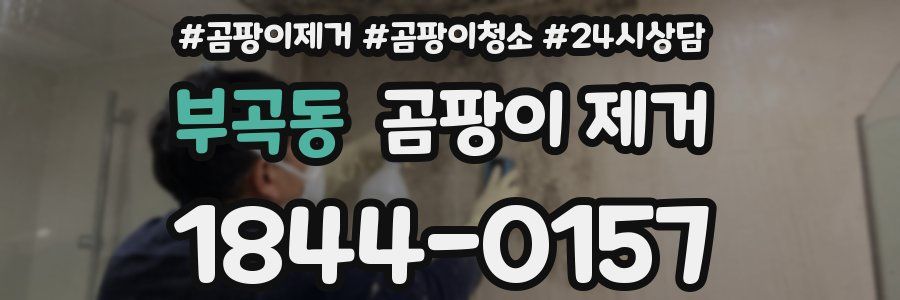 부곡동 곰팡이 제거