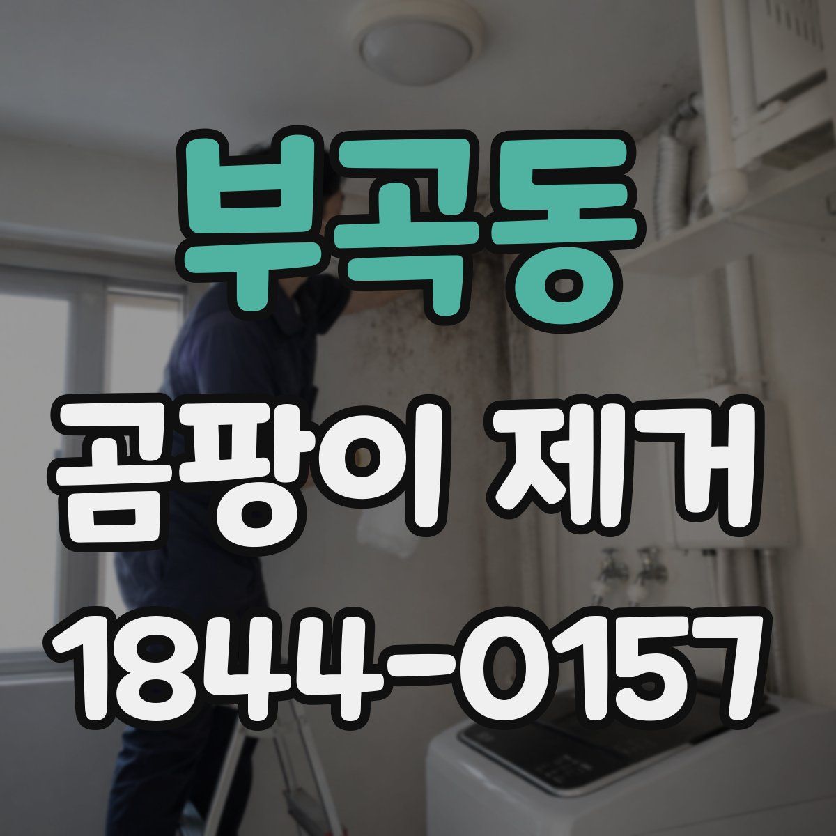 부곡동 곰팡이 제거