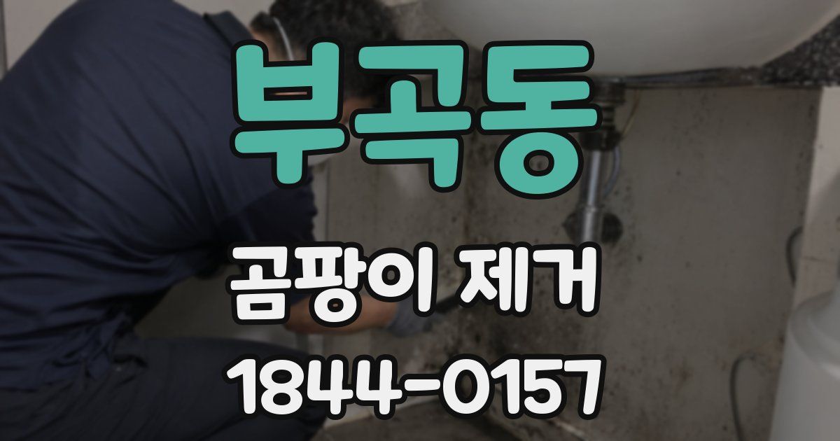 부곡동 곰팡이 제거