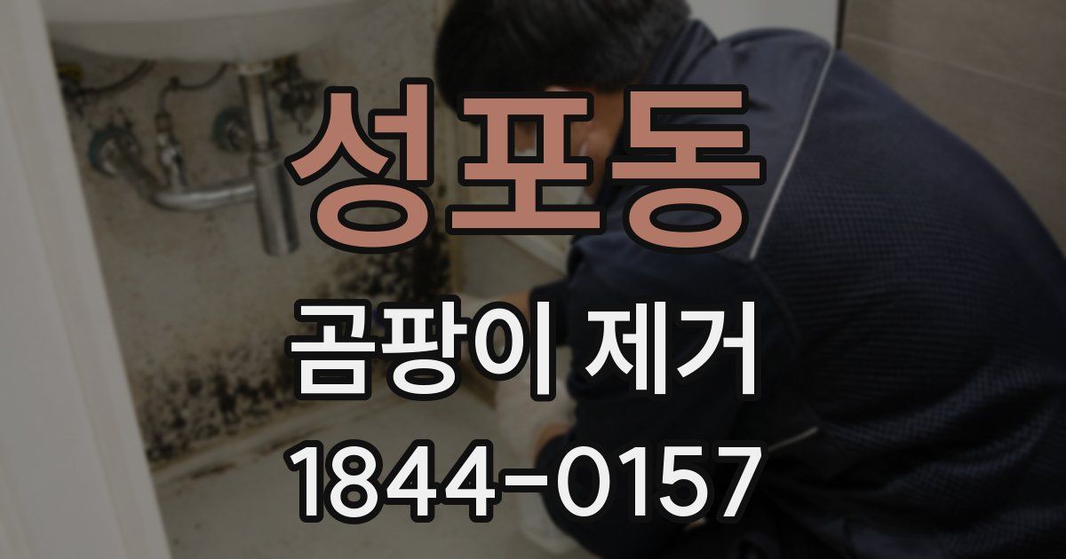성포동 곰팡이 제거