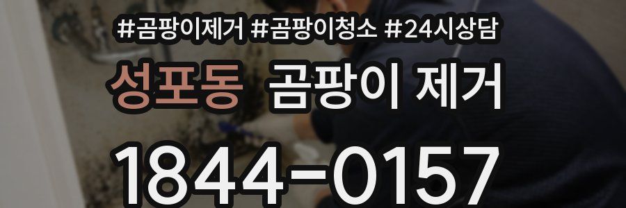 성포동 곰팡이 제거