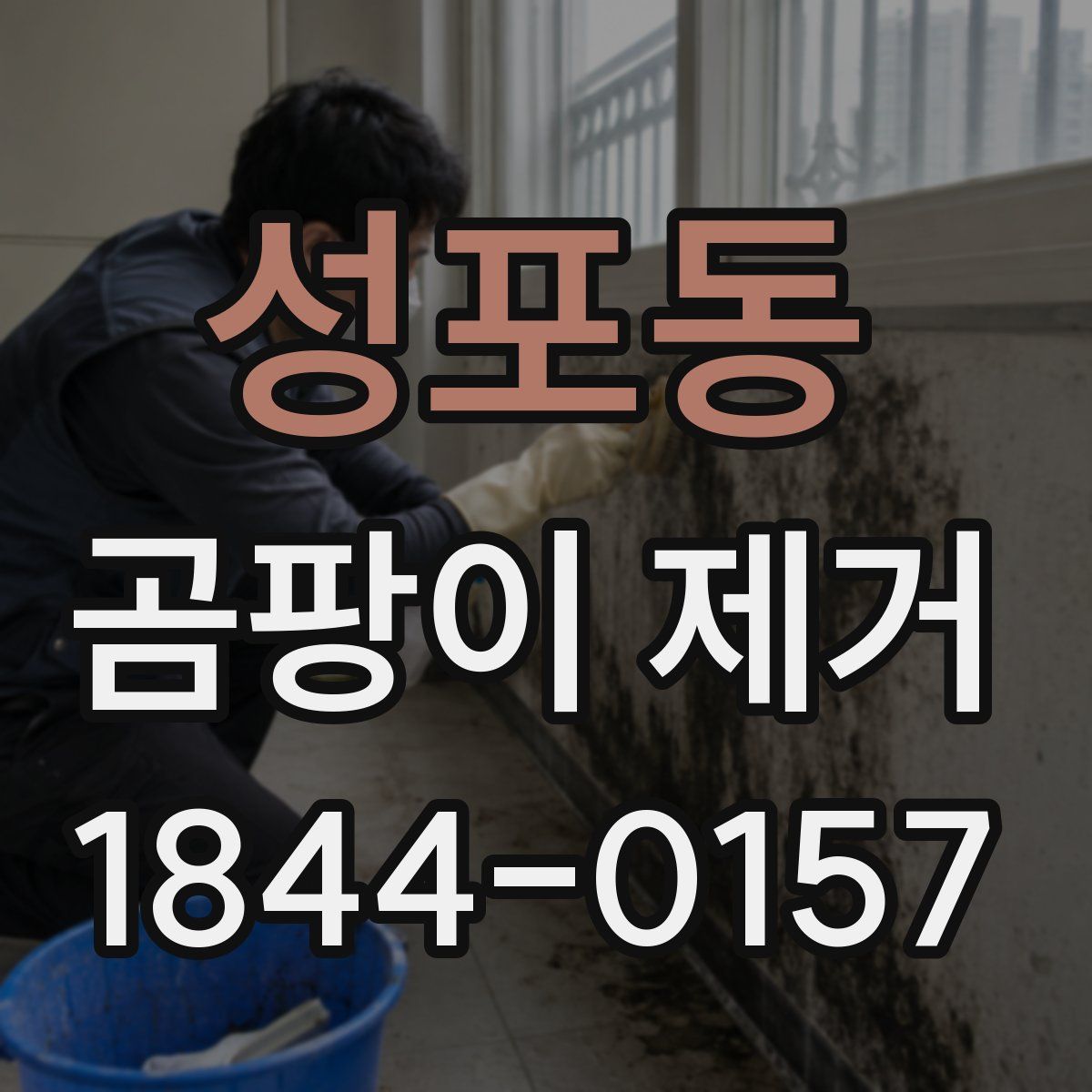 성포동 곰팡이 제거