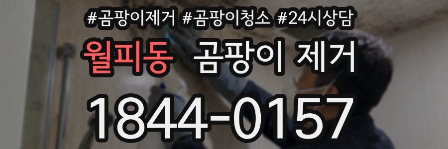 월피동 곰팡이 제거